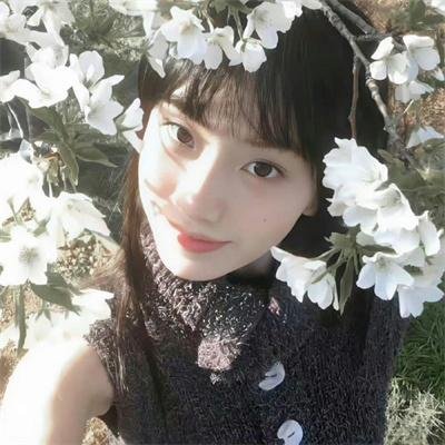战地飘零燕